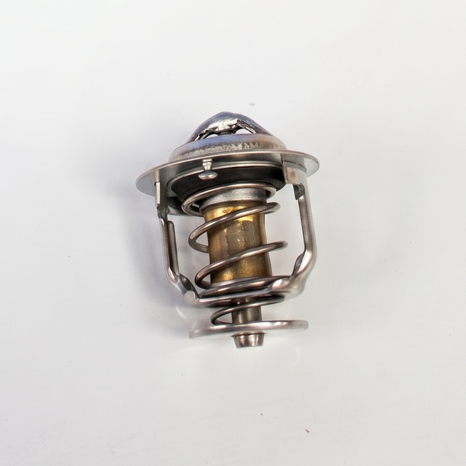 129155-49801 Thermostat (71°)