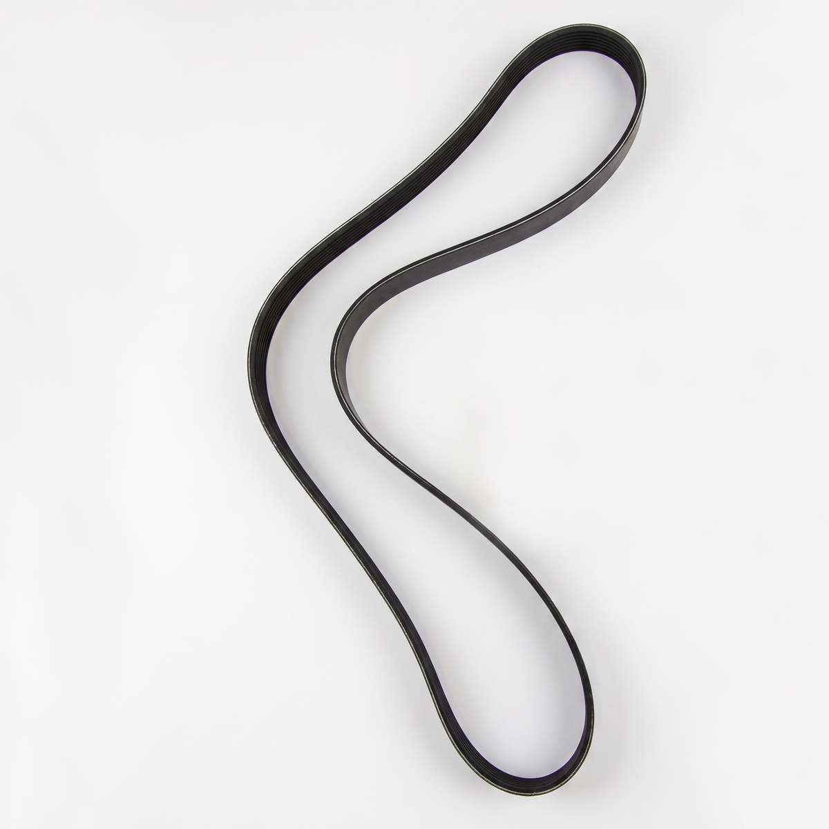 50A 24V Alternator Belt