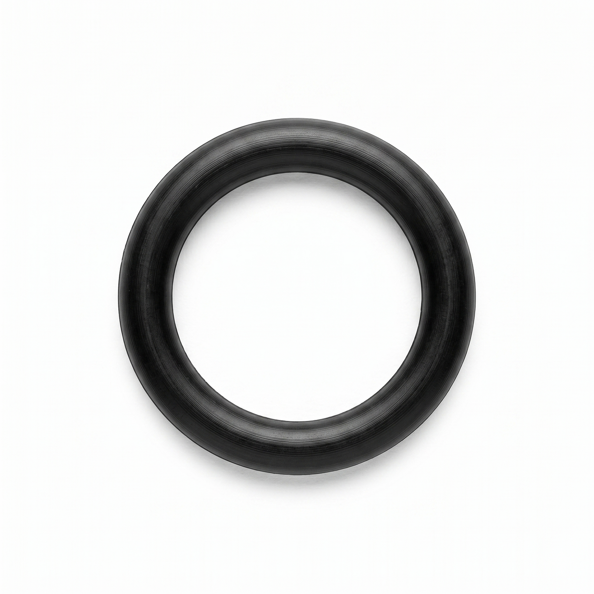 Injector O-Ring