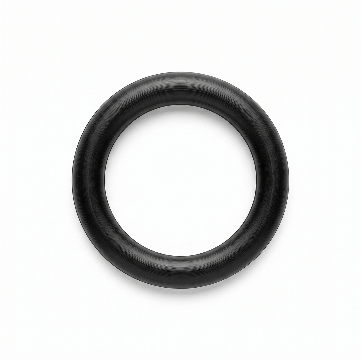 Injector O-Ring