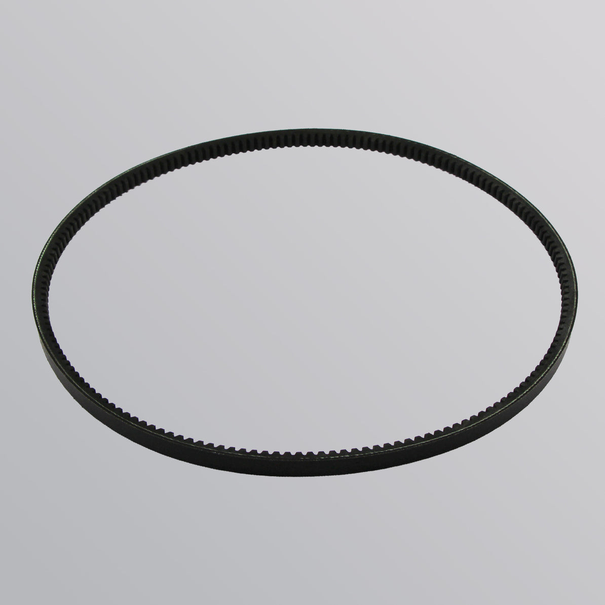 RDG0048334 70A Alternator Belt