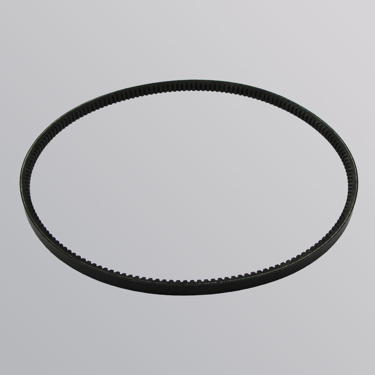 RDG0048334 70A Alternator Belt