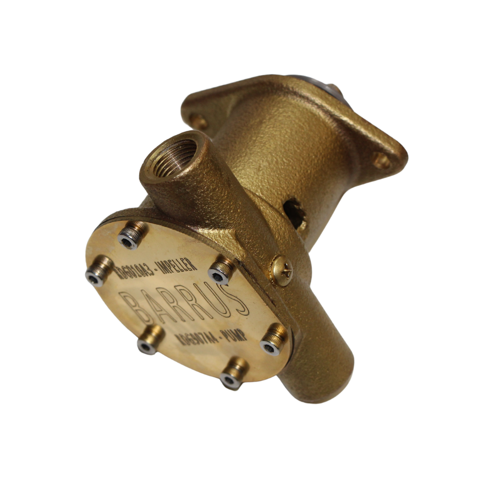 RDG907A4 Shire 20 Sea Water Pump